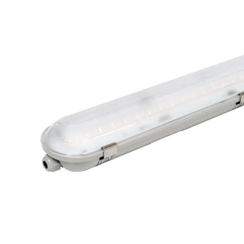 LED Triproof Light